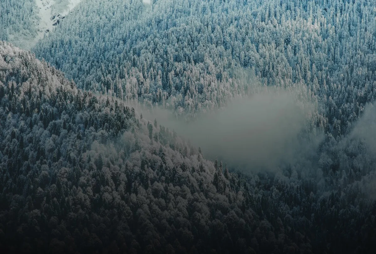 System zrzutu PTS4 DJI SkyPort